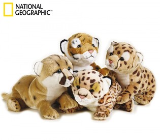 NATIONAL GEOGRAPHIC PLUSZ ZWIERZĘTA BABY V2