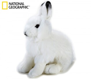 NATIONAL GEOGRAPHIC PLUSZ ZAJĄC POLARNY