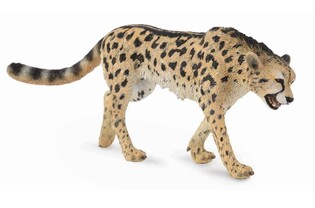 COLLECTA GEPARD KRÓLEWSKI