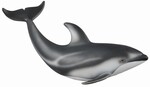 COLLECTA DELFIN PACYFICZNY