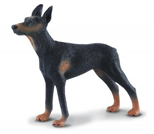 COLLECTA PIES DOBERMAN