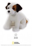 NATIONAL GEOGRAPHIC GIFT BOX JACK RUSSEL