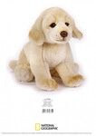 NATIONAL GEOGRAPHIC GIFT BOX GOLDEN RETRIEVER