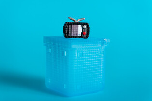 NANOBYTES SZKATUŁKA Z DWOMA NANOBYTES - 36 SZTUK W DISPLAYU
 5