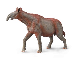 COLLECTA PARACERATHERIUM