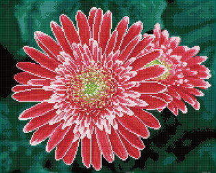 DIAMOND DOTZ ADULTS PINK GERBERAS 2