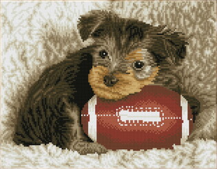 DIAMOND DOTZ ADULTS  FOOTY PUP 2