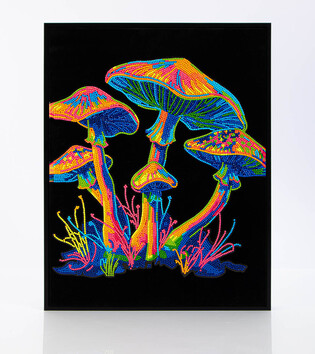 DIAMOND DOTZ ADULTS FLOCKED NEON MUSHROOMS 2
