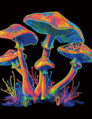 DIAMOND DOTZ ADULTS FLOCKED NEON MUSHROOMS 4