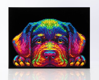 DIAMOND DOTZ ADULTS NEON PUPPY 2