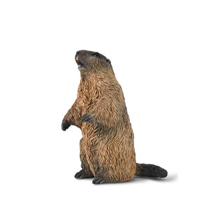 COLLECTA ŚWISTAK