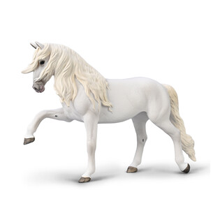 COLLECTA KLACZ LIPICAŃSKA CHÓD HISZPAŃSKI