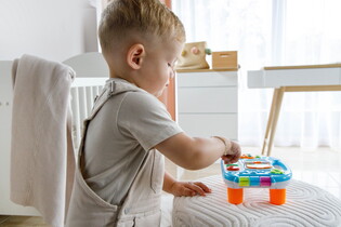 LISCIANI CAROTINA BABY EDUKACYJNY MINISTOLIK FARMA 15