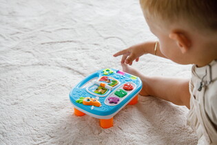 LISCIANI CAROTINA BABY EDUKACYJNY MINISTOLIK FARMA 17