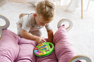 LISCIANI CAROTINA BABY EDUKACYJNY MINISTOLIK ZWIERZĘTA 12