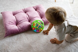 LISCIANI CAROTINA BABY EDUKACYJNY MINISTOLIK ZWIERZĘTA 15