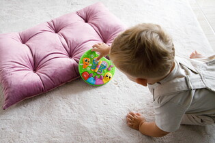 LISCIANI CAROTINA BABY EDUKACYJNY MINISTOLIK ZWIERZĘTA 16