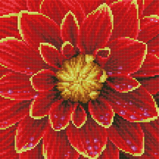 DIAMOND DOTZ ADULTS DHALIA WITH FRAME 2