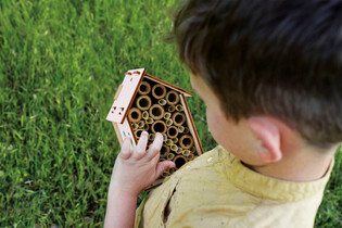 LISCIANI I"M A GENIUS LABORATORIUM PSZCZÓŁ 4