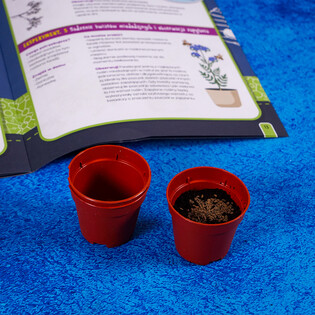 LISCIANI I"M A GENIUS LABORATORIUM PSZCZÓŁ 10