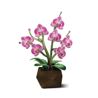 CUBIC FUN KWIATY ORCHIDEA 2