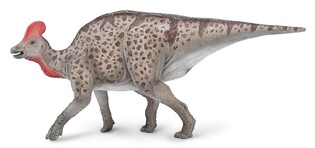 COLLECTA MAGNAPAULIA