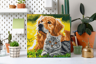 DIAMOND DOTZ ADULTS CANVA PURRFECT DAY
 3