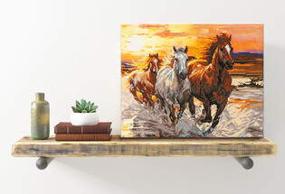 DIAMOND DOTZ ADULTS CANVA SUNSET GALLOP
 3