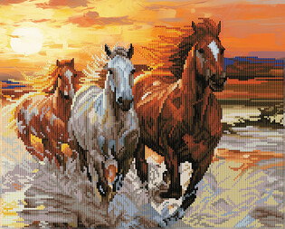 DIAMOND DOTZ ADULTS CANVA SUNSET GALLOP
 4