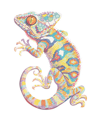 DIAMOND DOTZ ADULTS FLOCKED NEON PATCHWORK GECKO
