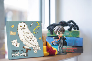 DIAMOND DOTZ ADULTS HEDWIG
 3