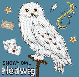 DIAMOND DOTZ ADULTS HEDWIG
 4