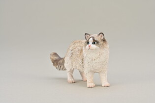 COLLECTA RAGDOLL 3