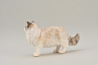 COLLECTA RAGDOLL 5