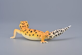 COLLECTA GEKON TYGRYSI 4