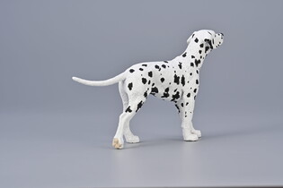 COLLECTA DALMATYŃCZYK 5