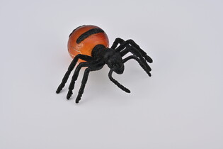 COLLECTA MRÓWKI MIODODAJNE 4