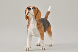 COLLECTA PIES BEAGLE 3