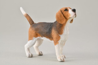 COLLECTA PIES BEAGLE 4