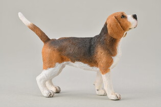 COLLECTA PIES BEAGLE 5