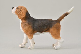 COLLECTA PIES BEAGLE 6