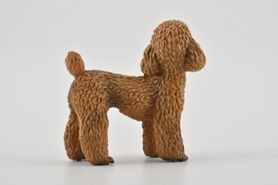 COLLECTA PUDEL 4