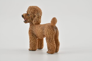 COLLECTA PUDEL 5