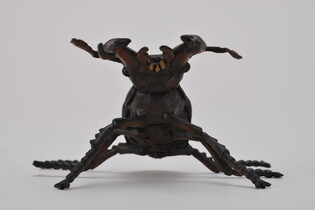 COLLECTA JELONEK ROGACZ 3