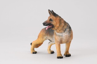 COLLECTA PIES OWCZAREK ALZACKI 3