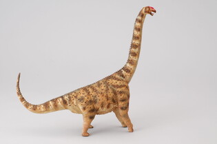 COLLECTA DINOZAUR ARGENTYNOZAUR 4