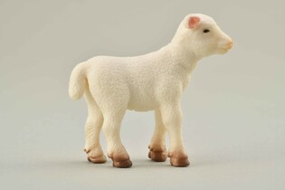 COLLECTA JAGNIĘ STOJĄCE 3