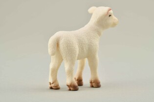 COLLECTA JAGNIĘ STOJĄCE 4