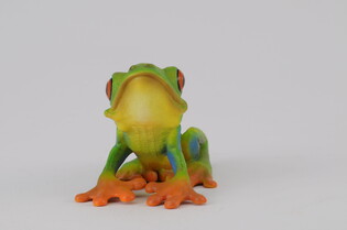 COLLECTA ŻABA CZERWONOOKA RZEKOTKA DRZEWNA 3
