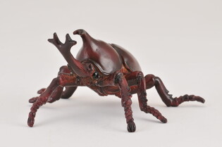 COLLECTA ROHATYNIEC NOSOROŻEC 3